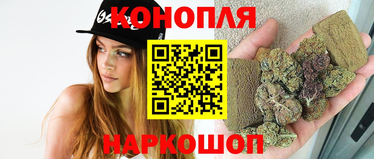 Бошки Шишки планчик Знаменск